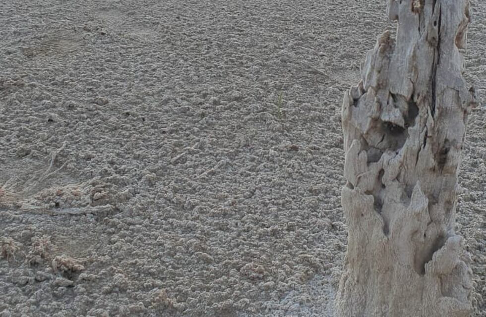 Clima en Ansenuza: así estará el tiempo este lunes