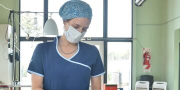 Ushuaia: la municipalidad realizó una jornada de castración masiva en el SUM del KyD