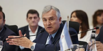 Morales reafirmó su objetivo de ampliar la matriz productiva del país porque "el campo -afirmó- no puede ser el único generador de divisas".
