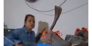 Una mujer encontró una sorpresa "venenosa"