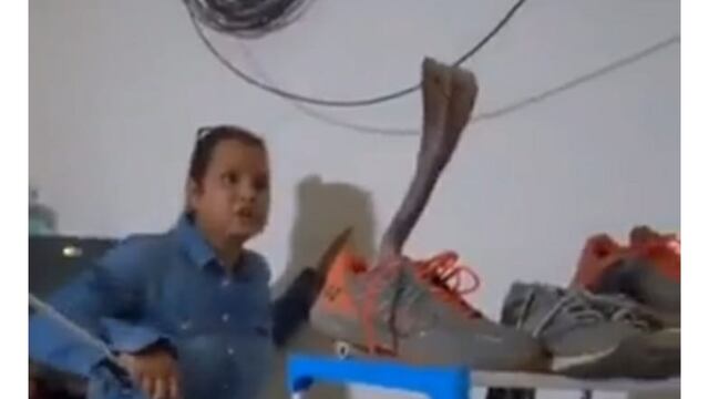 Una mujer encontró una sorpresa "venenosa"