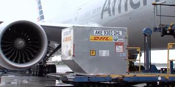 Llegaron al país nuevas dosis de la vacuna Pfizer en un vuelo comercial de American Airlines desde Estados Unidos.