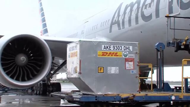Llegaron al país 100 mil dosis de la vacuna Pfizer en un vuelo comercial de American Airlines desde Estados Unidos.