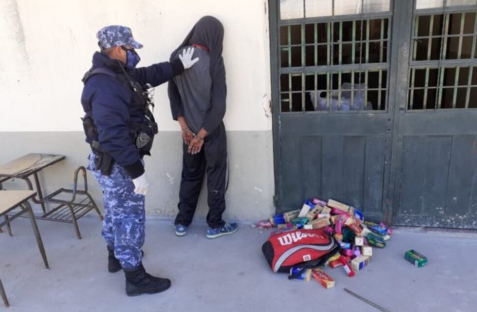 Detuvieron a dos jóvenes que robaron en una escuela
