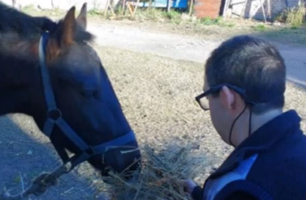 Recuperaron el caballo terapéutico de un chico con Síndrome de Down