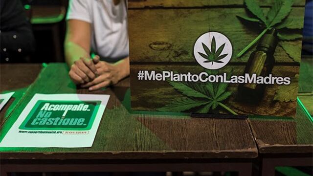 Nuevo fallo favorable para madres que producen cannabis medicinal para sus hijos