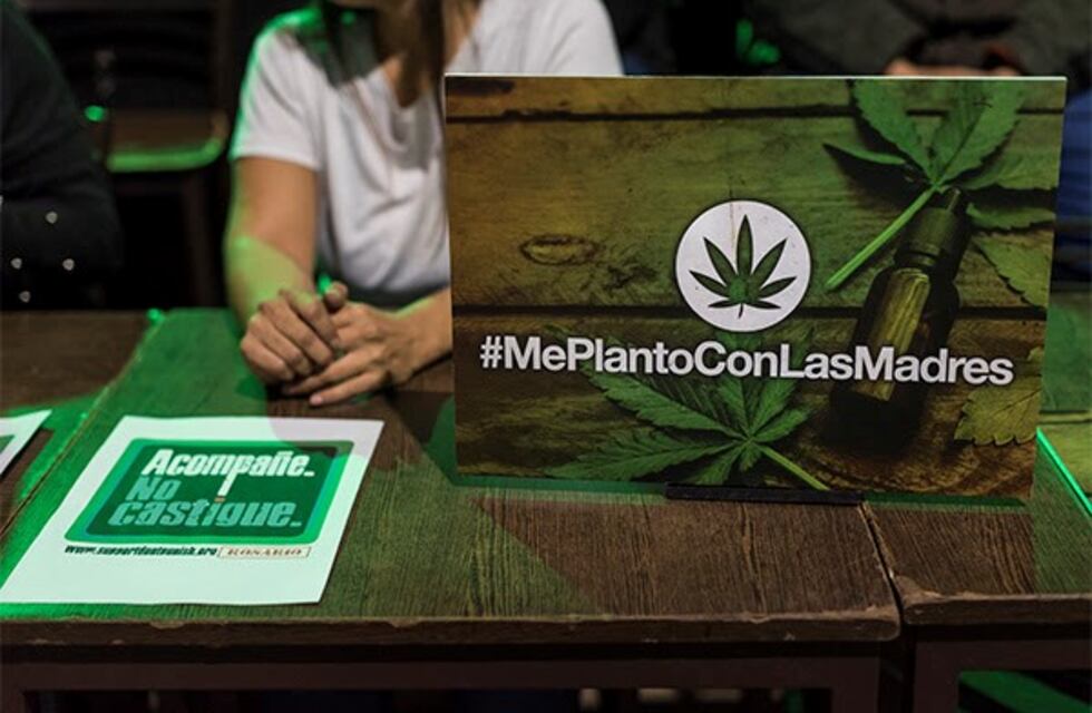 Nuevo fallo favorable a madres que producen cannabis medicinal para el tratamiento de sus hijos