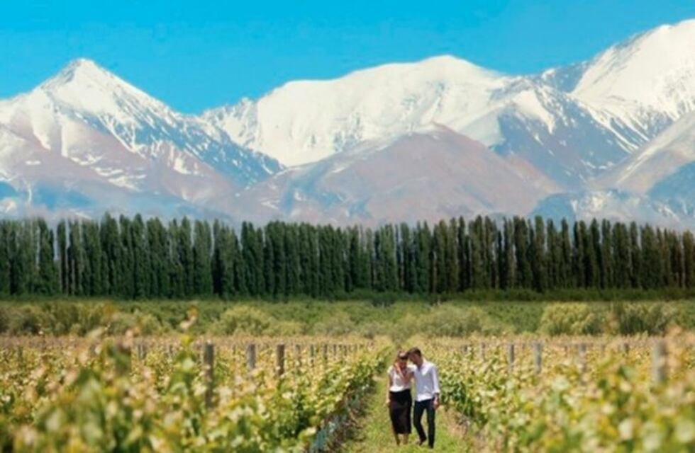 Mendoza recibió un "aluvión" de turistas en enero