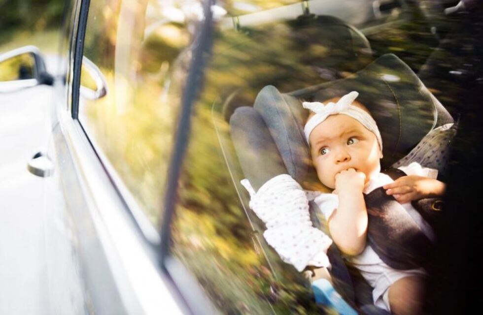 The Baby Clan: conocé cómo funciona la novedosa plataforma