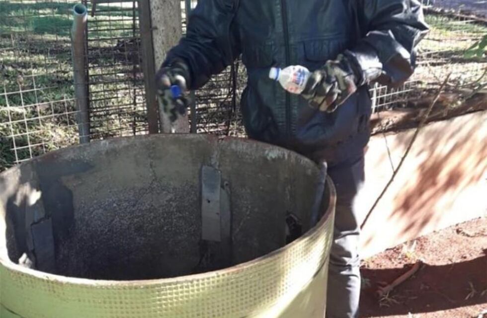 Puerto Iguazú: buscan eliminar focos de proliferación del dengue en el barrio Cataratas