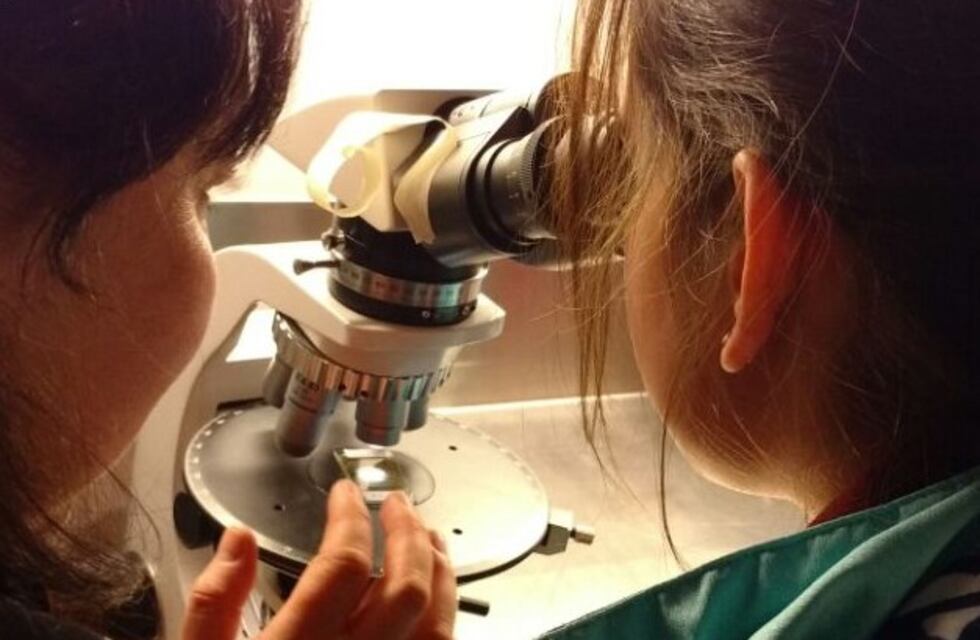 "La Semana Nacional de la Ciencia 2018" se llevará a cabo en la UNTDF