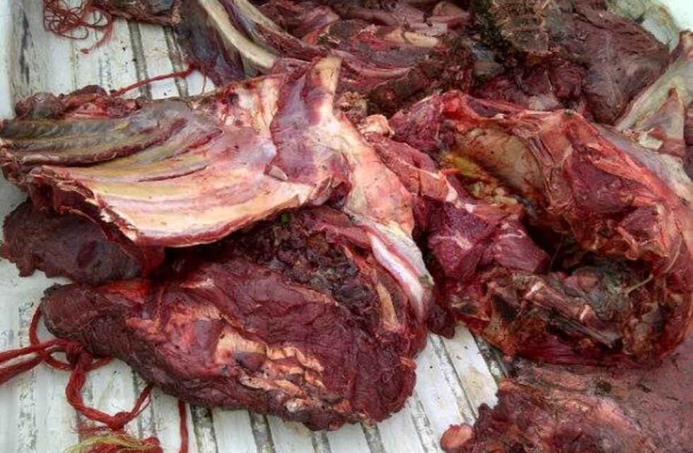 Le dieron carne podrida por un vale de ayuda social