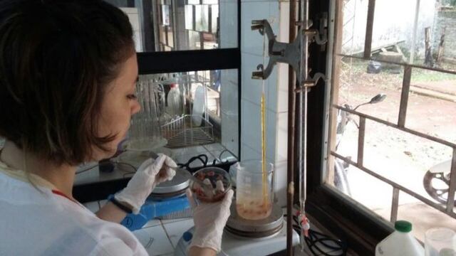 Red de Laboratorios de Misiones atendió en los dos últimos a casi 800\u002E000 pacientes\u002E