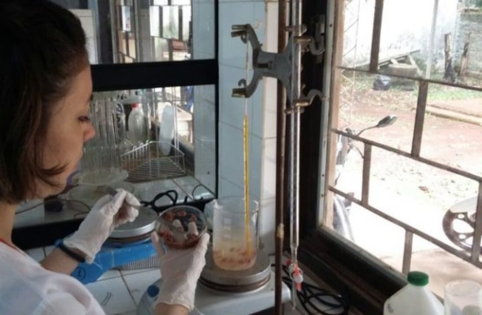La red de laboratorios atendió en 2019 a unos 420.070 pacientes y hay una proyección similar para este año