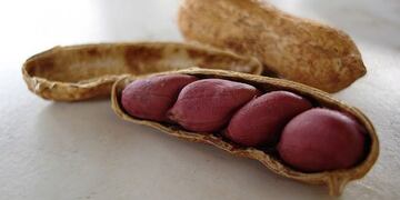 Beneficios del resveratrol