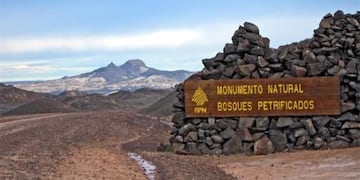 bosque petrificado