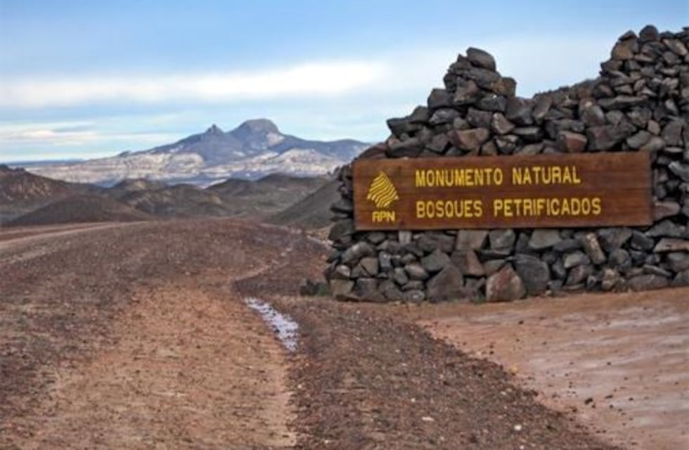 Jaramillo: Los bosques petrificados un atractivo abierto al turismo este 2021