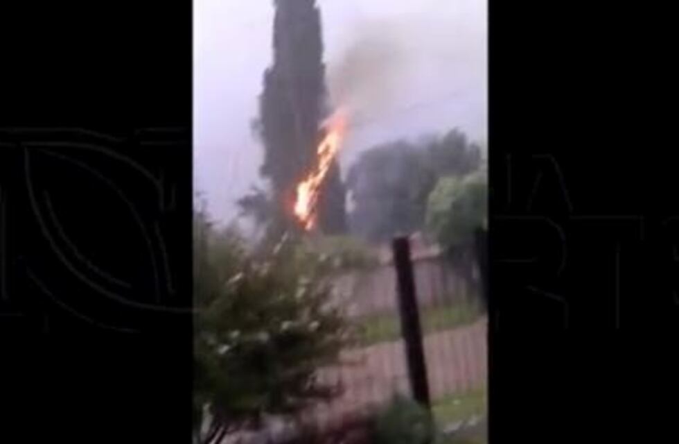 Impactantes imágenes: un rayo quemó por completo un histórico pino de Unquillo
