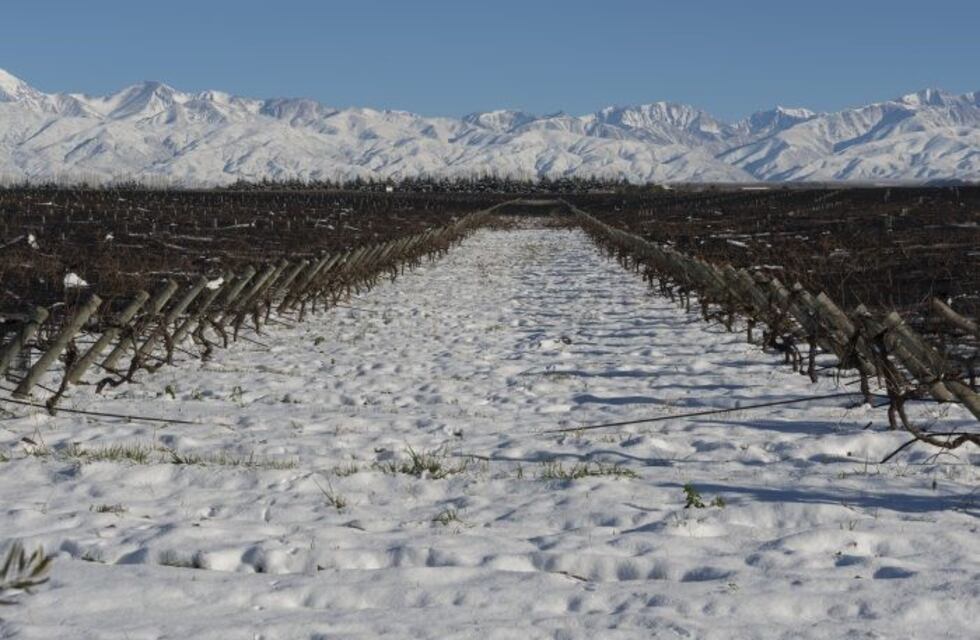 Mendoza será sede del encuentro Grandes Capitales del Vino