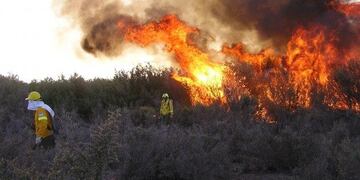 Incendio forestal en San Luis\u002E Foto: ANSL