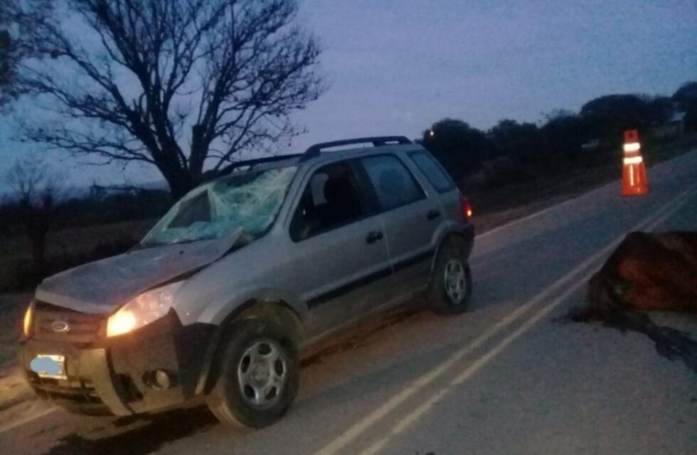 Un equino muerto tras un accidente de tránsito sobre la ruta