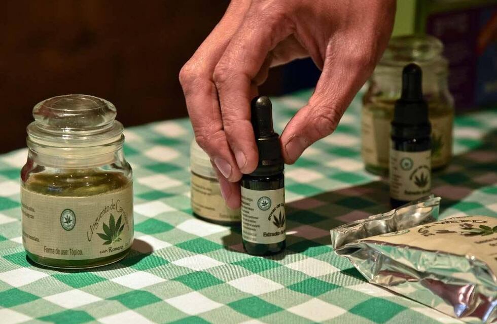 Piden que el Municipio cumpla con las disposiciones sobre el uso terapéutico del cannabis