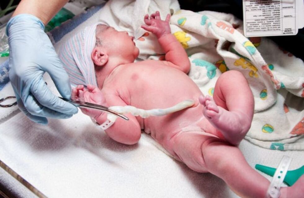 Desde julio se podrá donar cordón umbilical en Mendoza