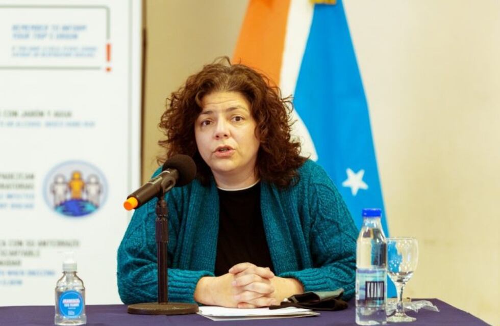 Carla Vizzotti aclaró que "si la vacuna no es segura, no se la vamos a dar ni a las personas de riesgo"