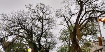 Viernes agradable en Corrientes\u002E