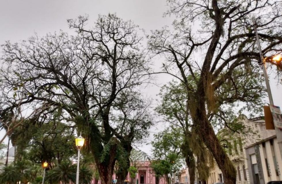 Bajas temperaturas matinales, pero a la siesta asomará el calor