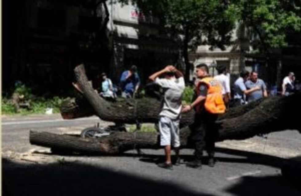 Murió el motociclista al que le cayó un árbol encima en Entre Ríos y Estados Unidos