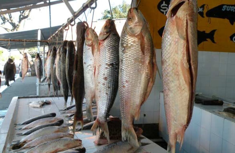 Consejos antes de consumir alimentos tradicionales de Semana Santa