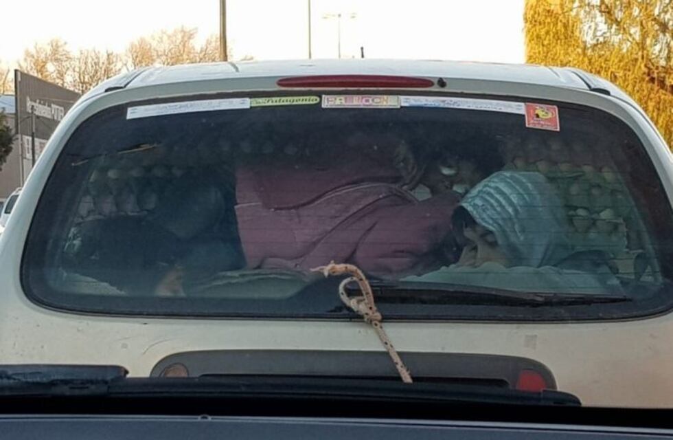 Un peligro: manejaba con tres chicos en un baúl al que cerró con una soga