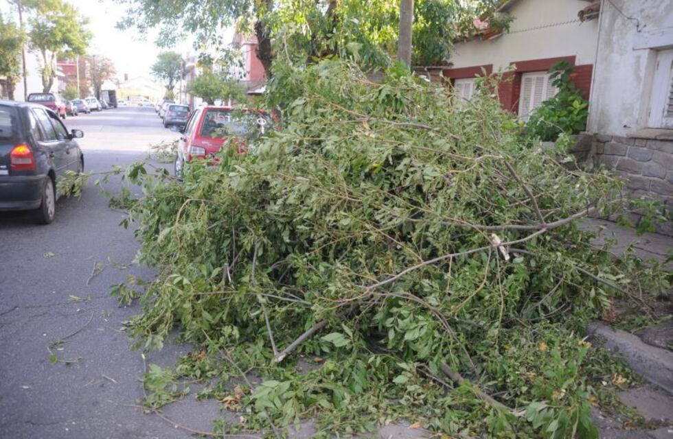Punta Alta: recolección de residuos voluminosos en Septiembre
