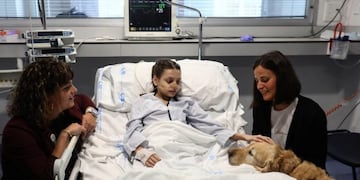 Zenit, el perro terapista que brinda servicio en el Hospital 12 de Octubre de Madrid