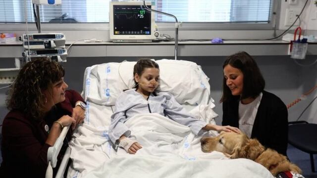 Zenit, el perro terapista que brinda servicio en el Hospital 12 de Octubre de Madrid