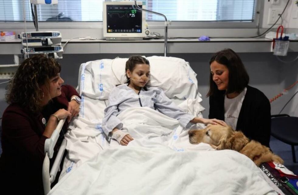 Así trabaja Zenit, el perro terapeuta que ayuda a calmar el dolor de los pacientes