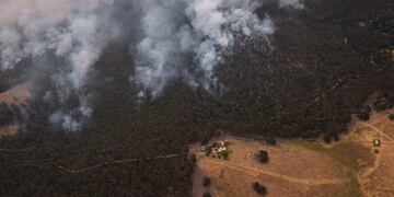 Incendios en Australia\u002E (DPA)