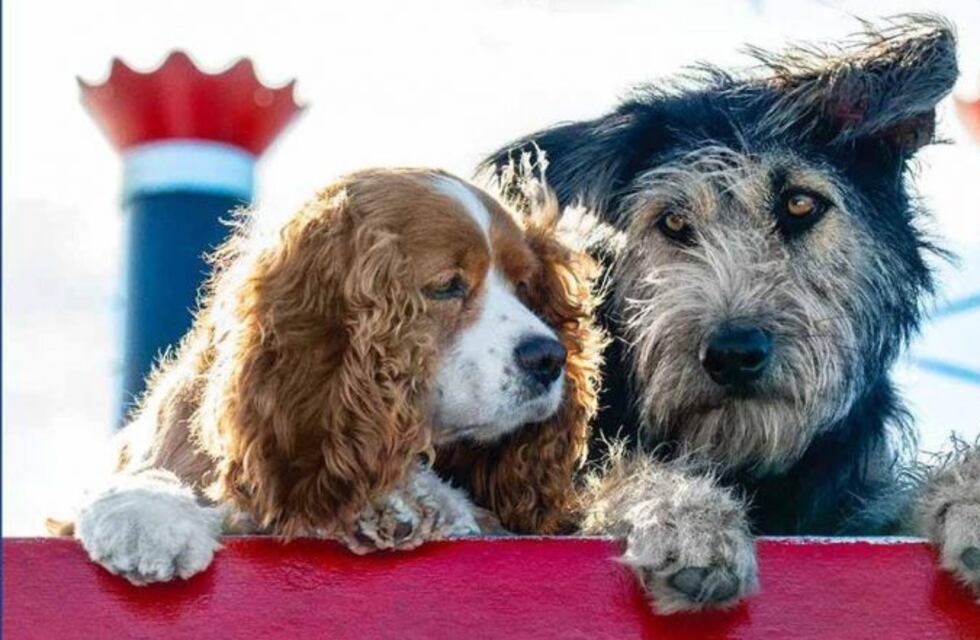 El tráiler y las primeras imágenes del remake de "La Dama y el Vagabundo"