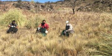 Liberación de aves silvestres en San Luis