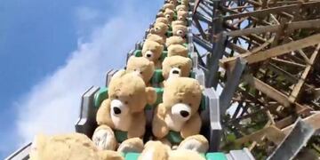 Grabaron a 22 osos de peluches arriba de una montaña rusa