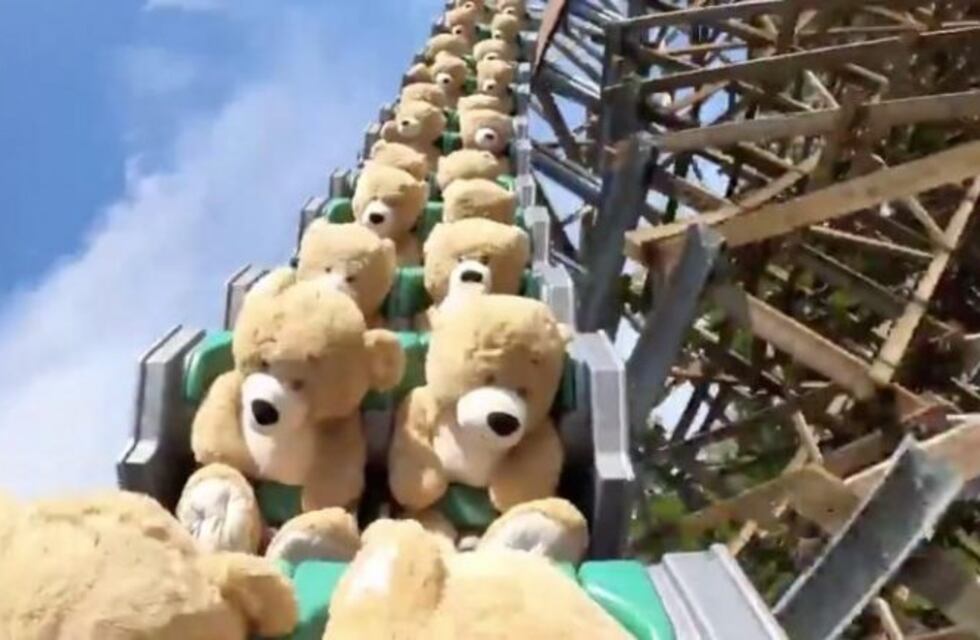 Grabaron a 22 osos de peluches arriba de una montaña rusa