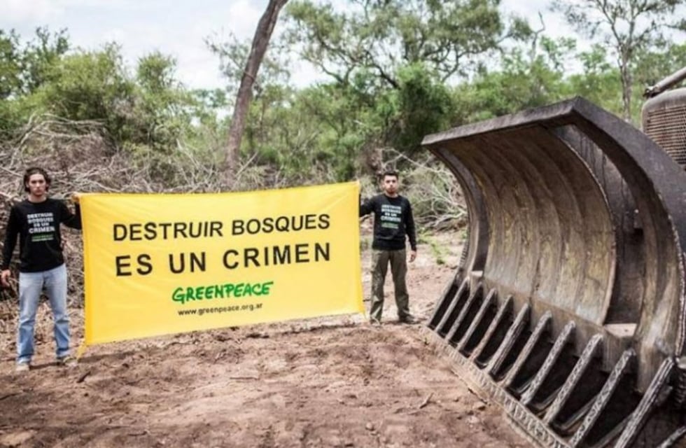 Un fuerte pedido de Greenpeace para que el Chaco declare la emergencia ambiental