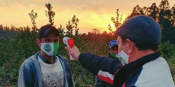 La Asociación Civil de Cuadrilleros realiza controles sanitarios a los tareferos de Andresito