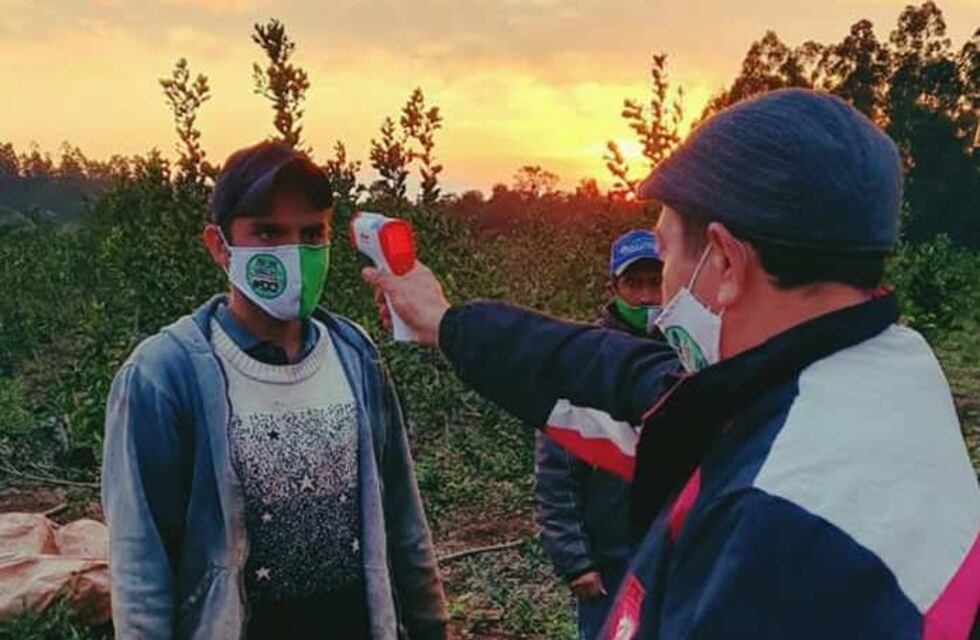 La Asociación Civil de Cuadrilleros realiza controles sanitarios a los tareferos de Andresito