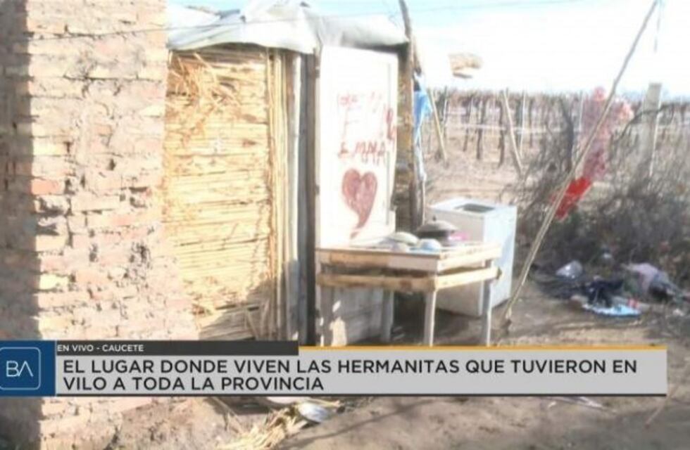 Nenas presuntamente raptadas: la madre, en la mira de la Justicia