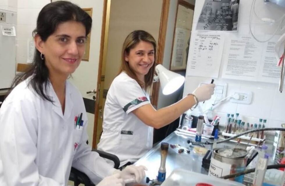 Coronavirus: comenzará la donación de plasma de pacientes recuperados de Covid-19