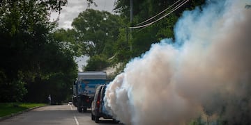 En qué barrios de Córdoba pasarán los camiones fumigadores este martes.