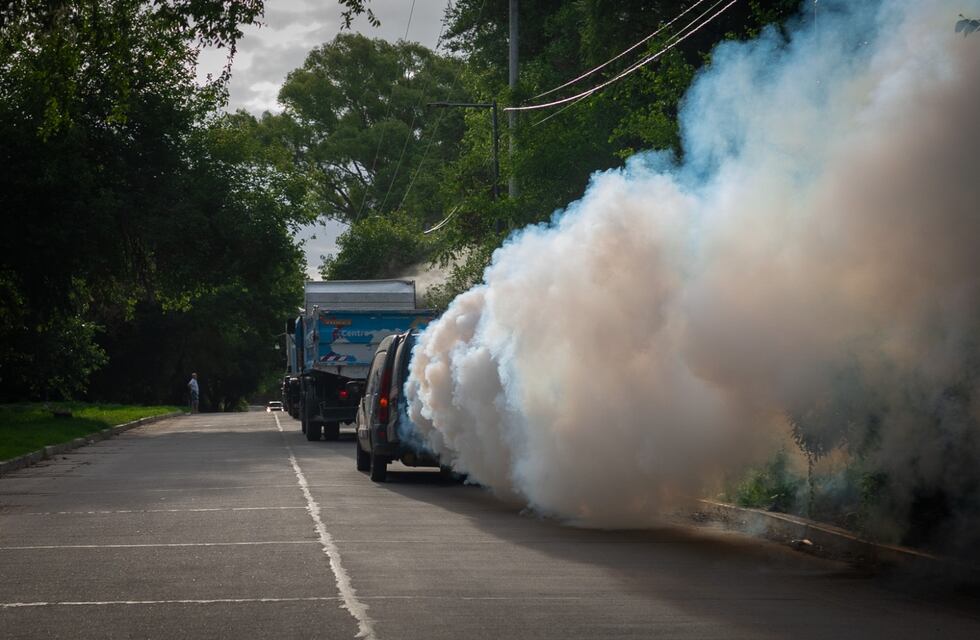 Invasión de mosquitos en la ciudad de Córdoba: en qué barrios fumigarán esta semana