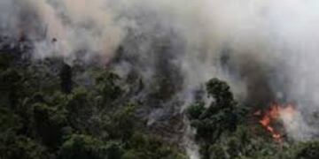 Incendios en el Chaco que comparten Paraguay y Brasil afecta ahora el sur de Misiones\u002E (ABC Color)